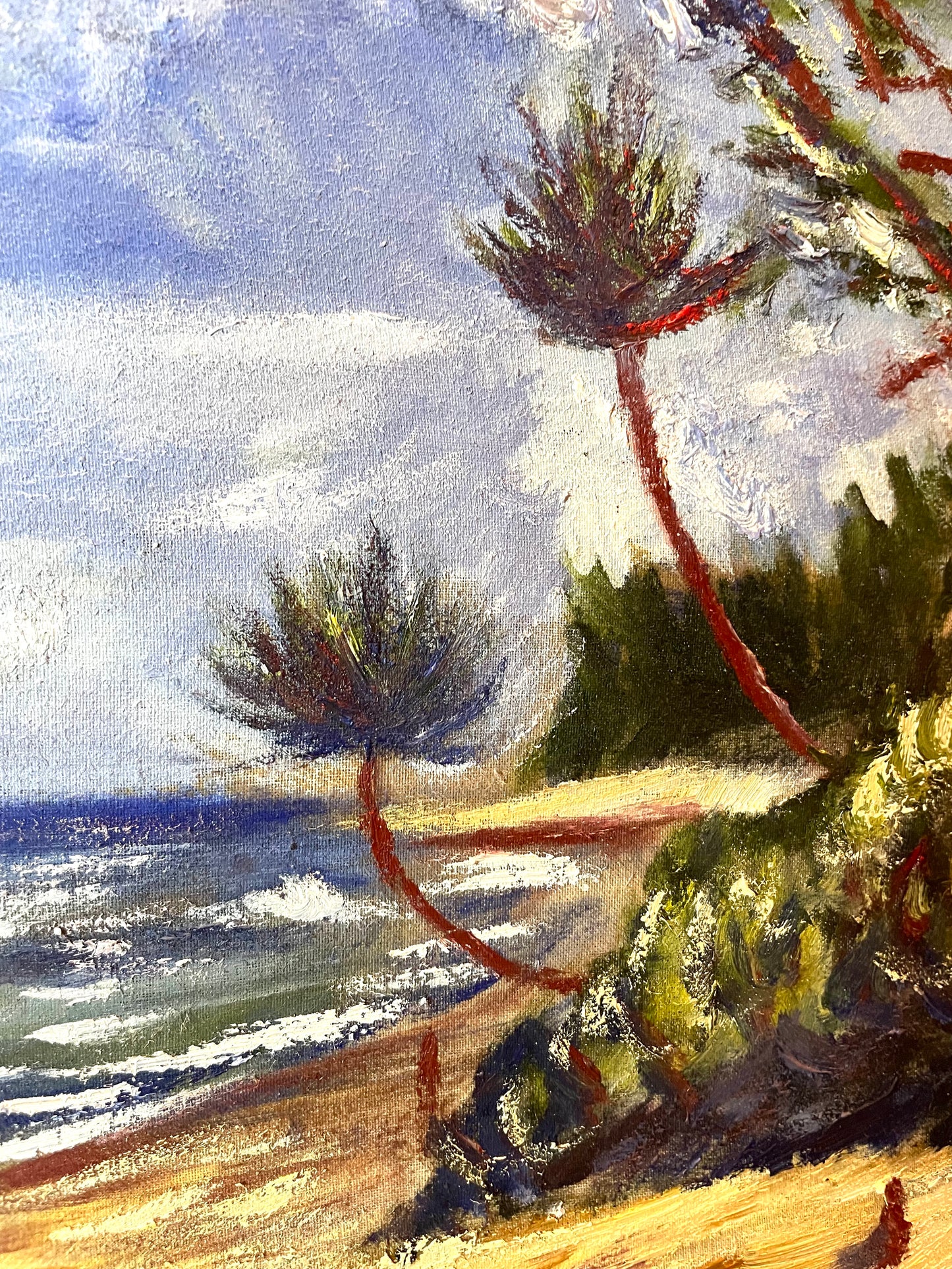 "Sunset Palm"