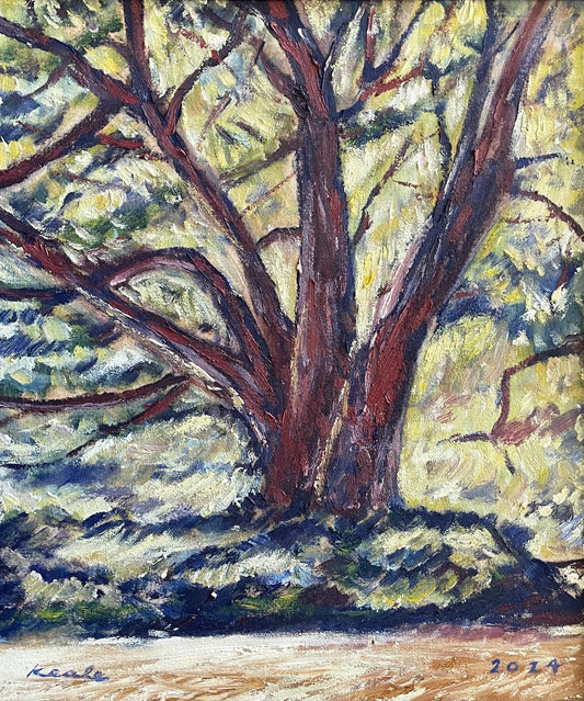 "Waimea Tree"
