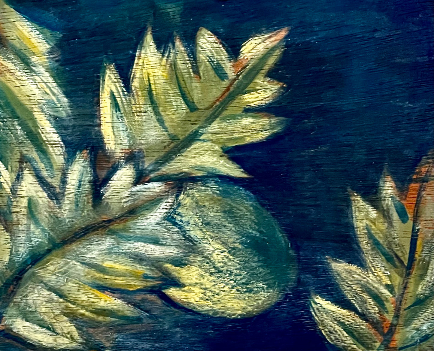 Sea Curio No. 1