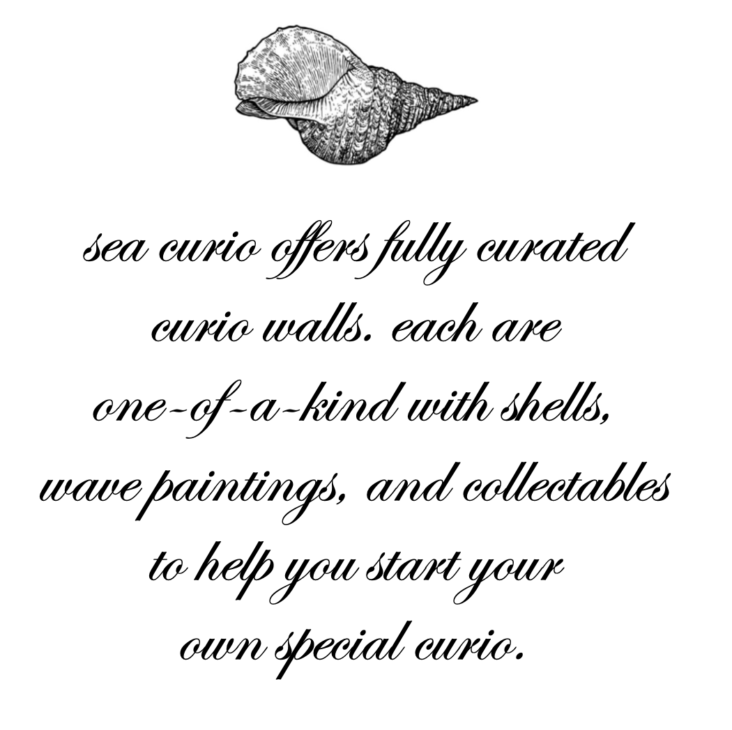 Sea Curio No. 1